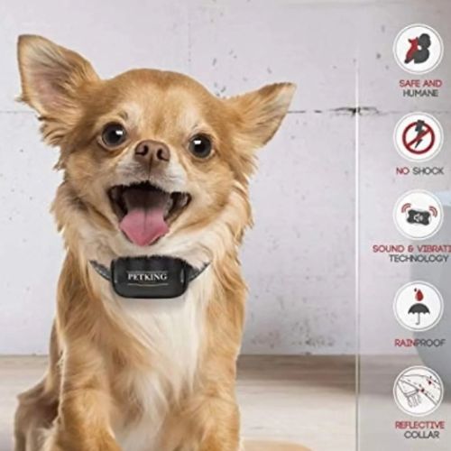 PetKing Premium Anti-Bark Dog Collar - Safe & Effective Bark Control - Digollo at Why Go Less, Lebanon