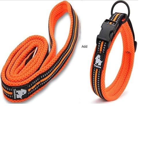 Truelove Reflective Padded Dog Collar and Leash Set | Breathable Mesh - Digollo at Why Go Less, Lebanon