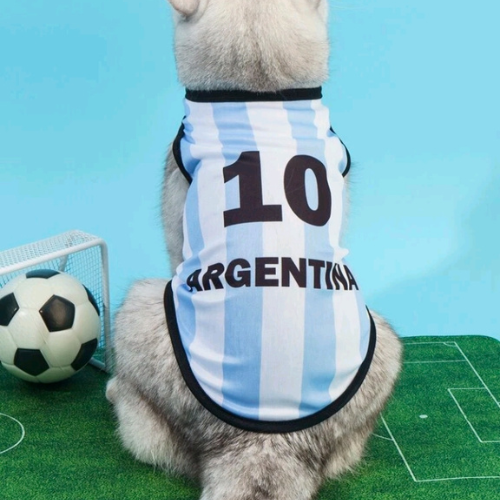 Argentina Flag Pattern Pet Jersey - Number 10 Soccer Tank for Cats & Dogs - Digollo at Why Go Less, Lebanon