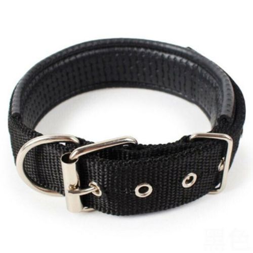 Heavy-Duty Tactical Dog Collar - Digollo at Why Go Less, Lebanon