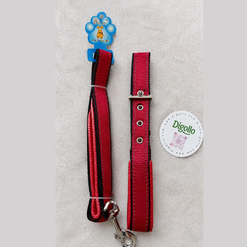 Reflective Nylon Dog Collar & Leash Set - Adjustable Red Walk Set - Digollo at Why Go Less, Lebanon (2)
