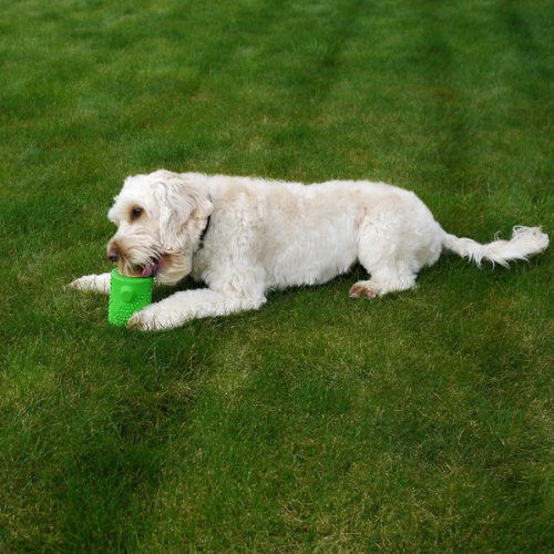 Starmark RubberTuff Treat Stump - (Green, Interactive Dog Chew Toy) - Digollo at Why Go Less, Lebanon (2)