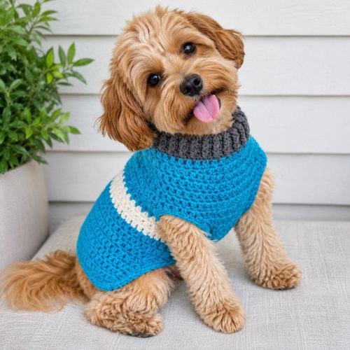 Handmade Crochet Dog Sweater - Cozy Blue & White Knit Pet Jumper - Digollo at Why Go Less, Lebanon