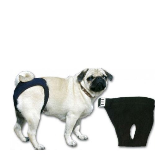 Reusable Washable Female Dog Diaper Panties with Adjustable Metal Clip - Digollo at Why Go Less, Lebanon