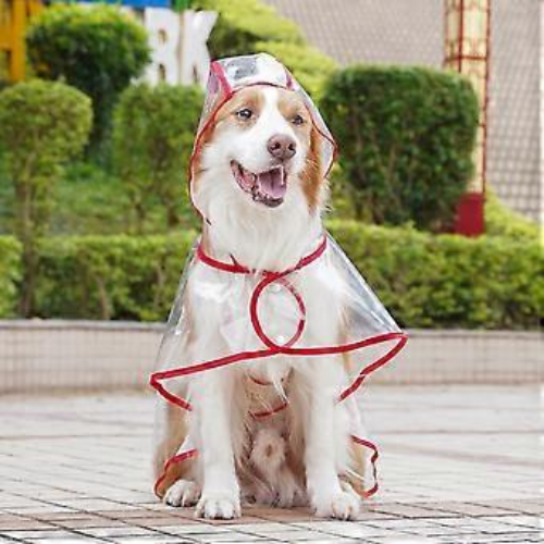Transparent Waterproof Dog Raincoat with Hood | Clear Pet Rain Jacket - Digollo at Why Go Less, Lebanon (2)