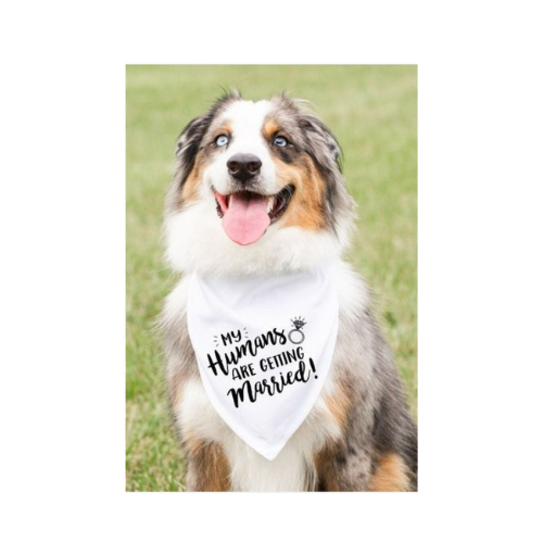 My Humans Are Getting Married" Dog Bandana | Cute Wedding Announcement Dog Scarf - Digollo at Why Go Less, Lebanon (2)