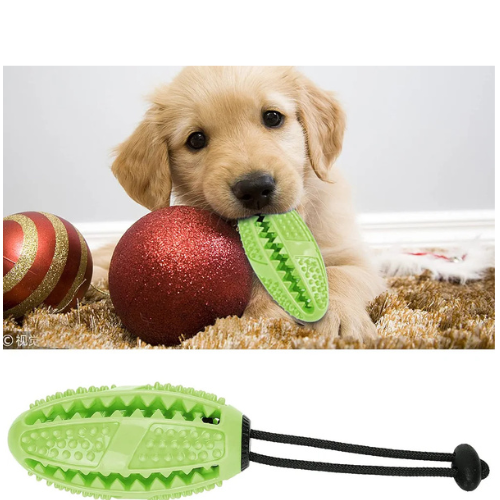 Interactive Rubber Dog Chew Toy & Dental Toothbrush with Tug Rope - Digollo at Why Go Less, Lebanon (2)