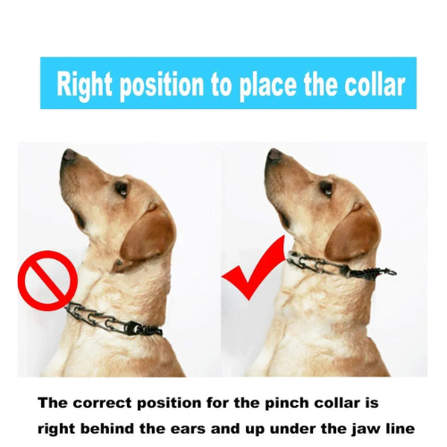 Heavy Duty Adjustable Dog Prong Collar with Comfort Rubber Tips - Digollo at Why Go Less, Lebanon (2)