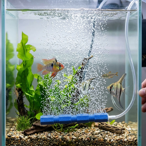 KW Blue Aquarium Air Stone Bar - Fish Tank Aerator & Bubbler - Digollo at Why Go Less, Lebanon