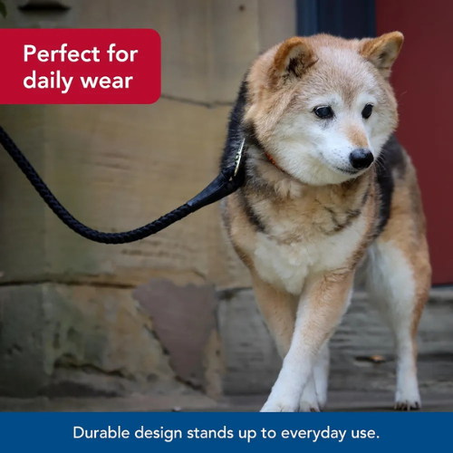 Durable Braided Rope Dog Leash - Heavy Duty Slip Lead for Daily Walking and Training - Digollo at Why Go Less, Lebanon (2)