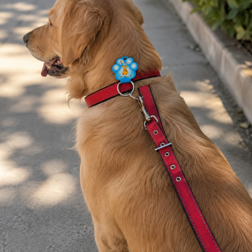 Reflective Nylon Dog Collar & Leash Set - Adjustable Red Walk Set - Digollo at Why Go Less, Lebanon