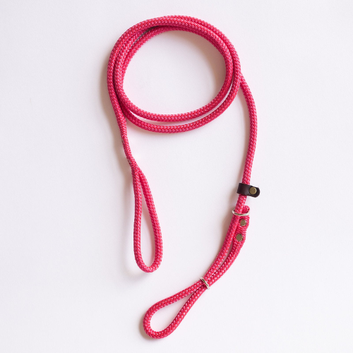 Durable Pink Rope Slip Lead Dog Leash | Adjustable Hands-Free Training Leash - Digollo at Why Go Less, Lebanon