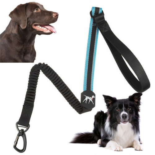 Heavy Duty Shock Absorbing Bungee Dog Leash with Dual Traffic Handles & Reflective Stitching - Digollo at Why Go Less, Lebanon (2)