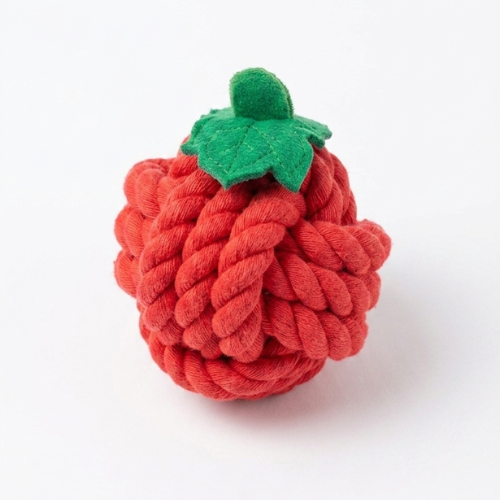 Durable Strawberry Cotton Rope Dog Chew Toy - Digollo at Why Go Less, Lebanon