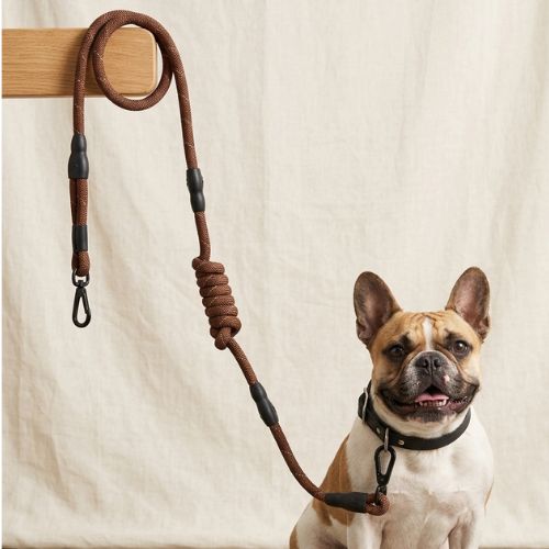 Heavy Duty Climbing Rope Dog Leash - Durable Multi-Functional Lead with Matte Black Hardware - Digollo at Why Go Less, Lebanon
