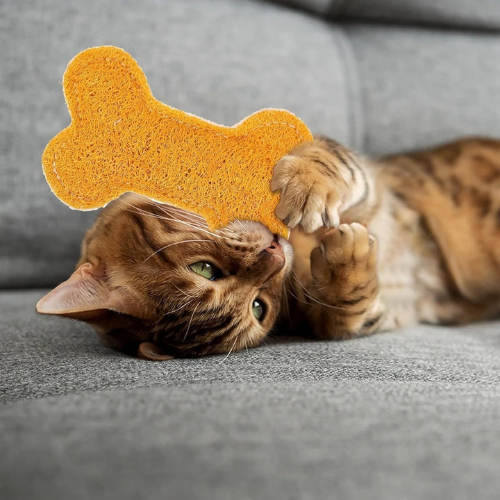 Catnip Infused Loofah Bone Cat Toy - Natural Dental Chew & Teething Toy - Digollo at Why Go Less, Lebanon