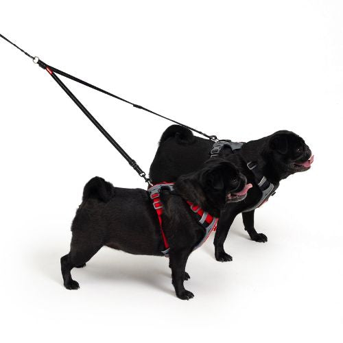 Reflective No-Pull Double Dog Harness and Leash Set | Adjustable Dual Dog Walking Gear - Digollo at Why Go Less, Lebanon