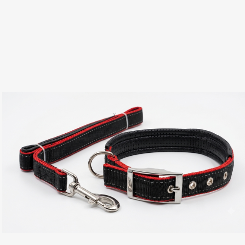 Heavy Duty Padded Nylon Dog Collar - Adjustable Canvas Pet Collar with Metal Buckle - Digollo at Why Go Less, Lebanon