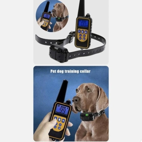 Premium Rechargeable Dog Training Collar with Remote | Shock, Vibration, Beep & LED Modes - Digollo at Why Go Less, Lebanon (2)