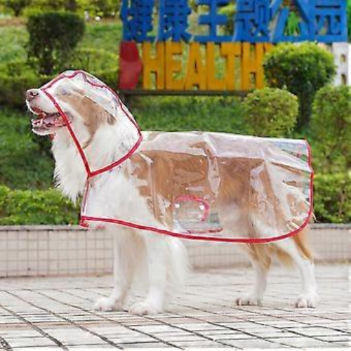 Transparent Waterproof Dog Raincoat with Hood | Clear Pet Rain Jacket - Digollo at Why Go Less, Lebanon