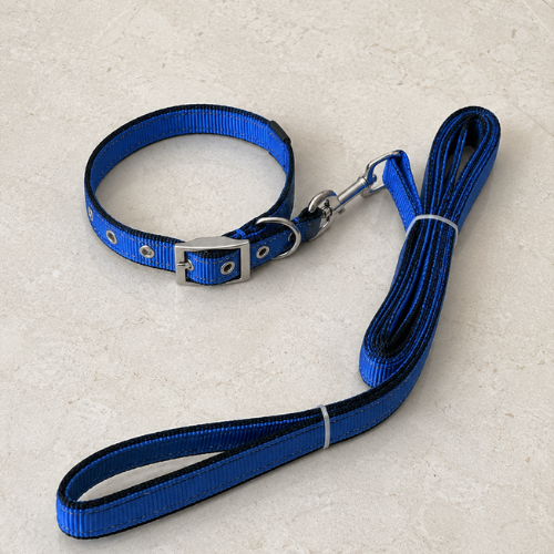 Reflective Nylon Dog Collar and Leash Set - Heavy Duty Adjustable Pet Walking Combo - Digollo at Why Go Less, Lebanon