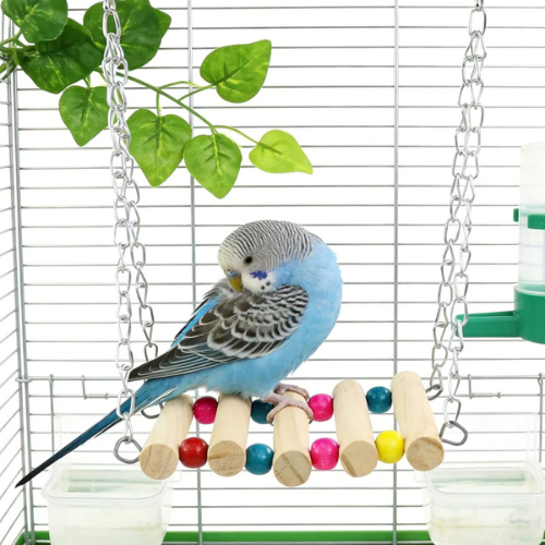 Natural Wooden Bird Swing Toy with Colorful Beads - Hanging Perch for Parakeets, Budgies & Cockatiels - Digollo at Why Go Less, Lebanon (2)