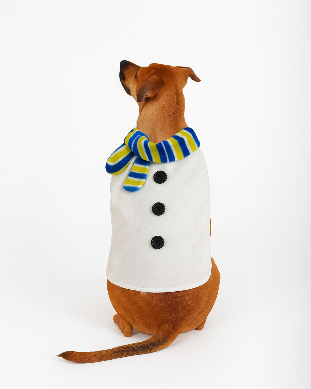 Dog winter coat with scarf - Digollo at Why Go Less, Lebanon